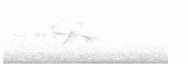 Black-throated Gray Warbler - ML93747421