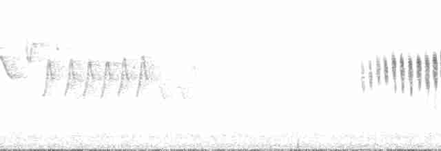 Paruline à couronne rousse (hypochrysea) - ML93791