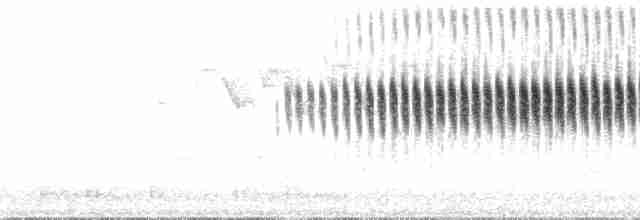 Paruline à couronne rousse (hypochrysea) - ML93798