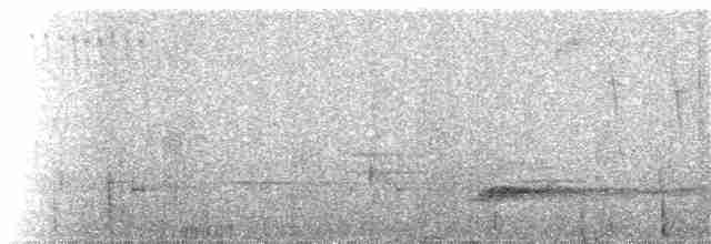 Каштановый скрытохвост - ML93816081