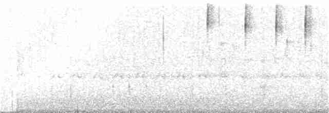 Тиранчик-короткодзьоб південний - ML93843621