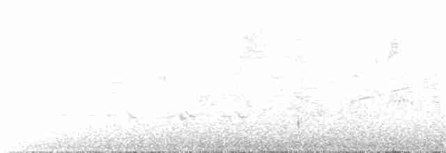 Чернітка рудоголова - ML93847141