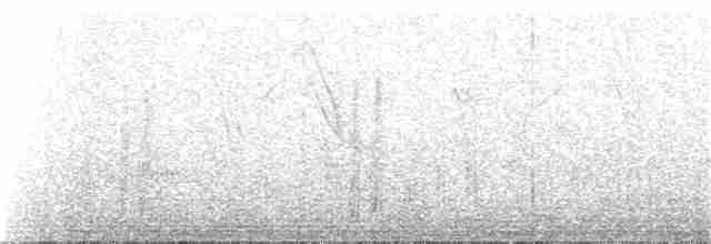 Сероголовый калита - ML93854091