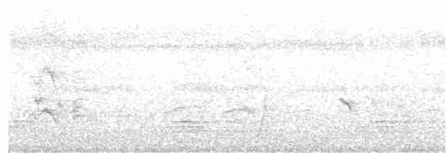 Яструб тасманійський - ML93930131