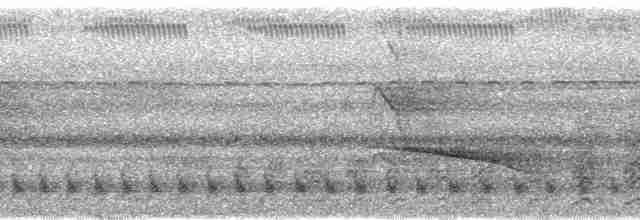 Néocossyphe à queue rousse - ML93931