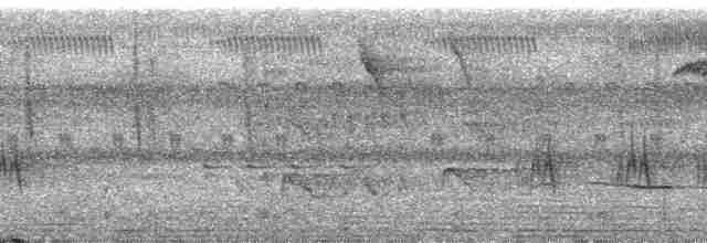 Каштановый зимородок - ML93952
