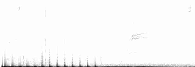 Green-tailed Towhee - ML94119281