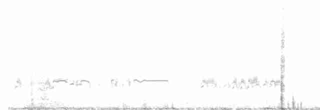 Western Grebe - ML94153311