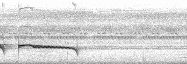 Дрімлюга гірський (підвид poliocephalus) - ML94174