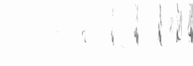 צחיחנית חרמון - ML94195211