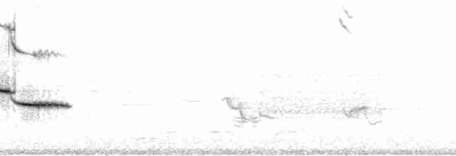 Eastern Meadowlark (Eastern) - ML94369