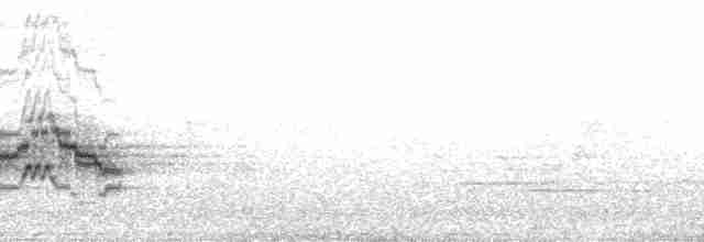 Бурый соловьиный дрозд - ML94387