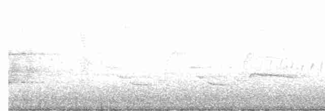 Prairie Warbler - ML94428821