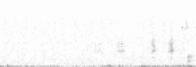 Great Reed Warbler - ML94429721