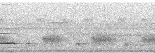 Pullu Çıtkuşu [marginatus grubu] - ML94541