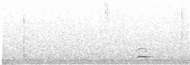 カナダカケス（obscurus／griseus） - ML94555301