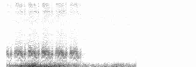 Кактусовый крапивник - ML94623281