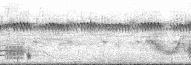 Fork-tailed Drongo (adsimilis Group) - ML94672