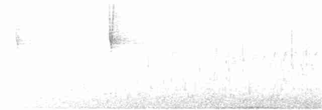 Reinita Protonotaria - ML94717841