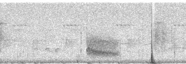 Grauschopf-Ameisenvogel - ML94741
