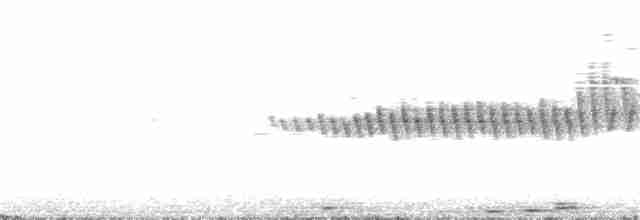 サメズアカアメリカムシクイ - ML94752721