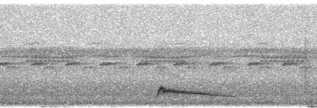 Augennachtschwalbe - ML94776