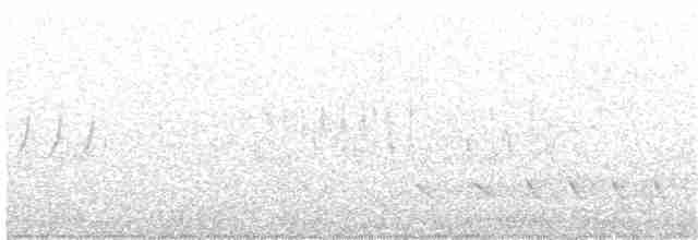 Common Yellowthroat - ML94786211