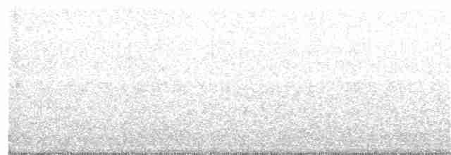 White-crested Elaenia - ML94811711