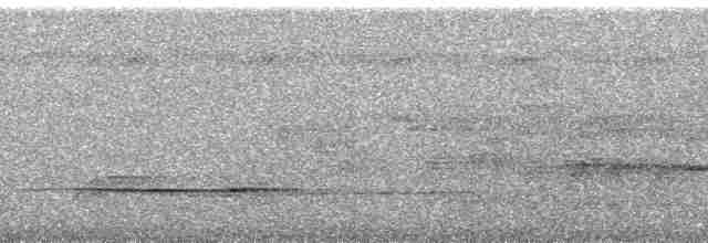 Ванга гачкодзьоба (підвид cetera) - ML94844