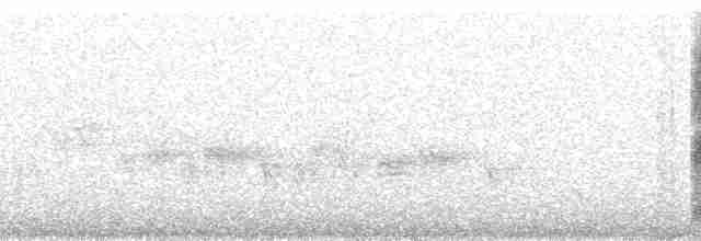 Rotbrust-Paradiesschnäpper - ML94887