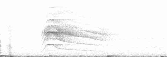 Swallow-tailed Kite - ML94932611