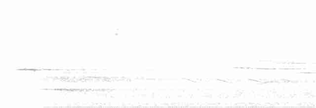 dvergfalk (columbarius) - ML94959101