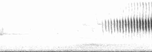 Paruline à couronne rousse (hypochrysea) - ML94967