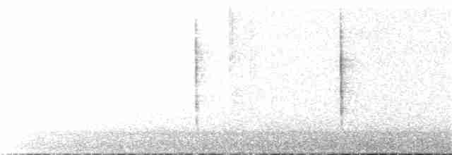 Юнко сірий (підвид caniceps) - ML94973211