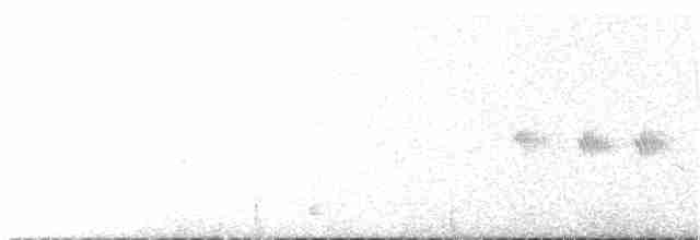 Black-throated Gray Warbler - ML94973321