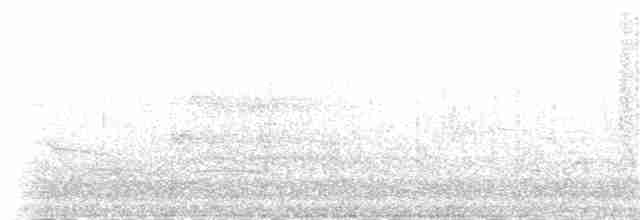 vlhovec lesklý (ssp. versicolor) - ML95076621