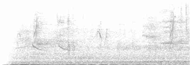 vlhovec lesklý (ssp. versicolor) - ML95076901