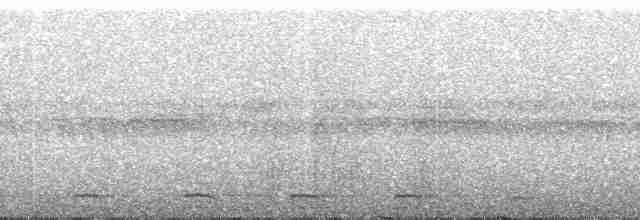 Сплюшка мадагаскарська (підвид rutilus) - ML95114