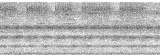 Сплюшка мадагаскарська (підвид rutilus) - ML95191