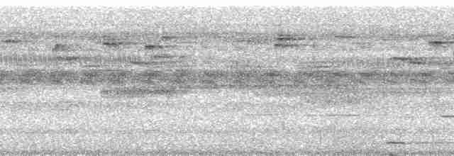 Сплюшка мадагаскарська (підвид rutilus) - ML95192