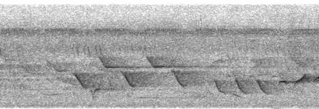 Dohrn's Thrush-Babbler - ML95201