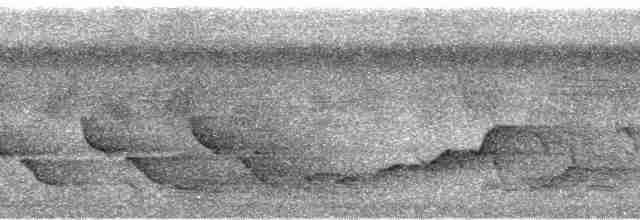 Dohrn's Thrush-Babbler - ML95206