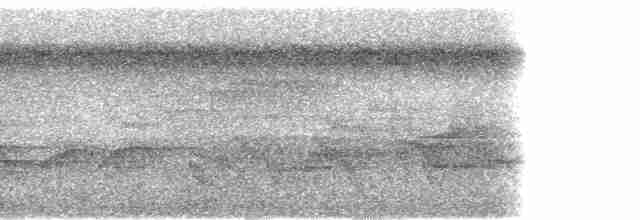 Dohrn's Thrush-Babbler - ML95213