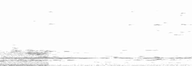 Black-throated Gray Warbler - ML95216781