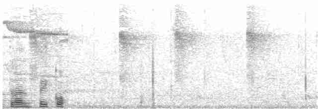 Бронзовохвостый павлиний фазан - ML95289151