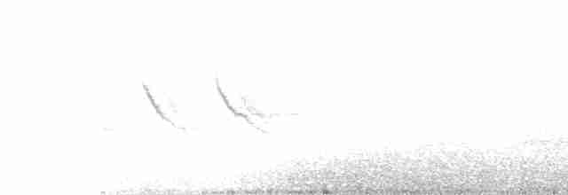 Rufous-collared Sparrow - ML95517271