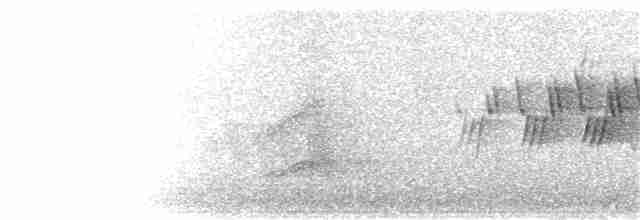 Черногорлая хвойница - ML95549301