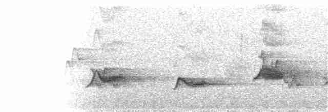 Чернокрылая пиранга - ML95557081