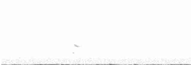 pěnkava tenerifská - ML95613011