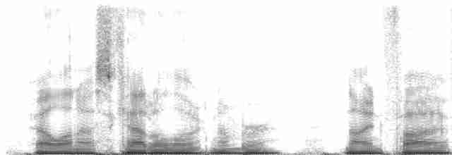 Weißbrust-Stelzenralle - ML95615